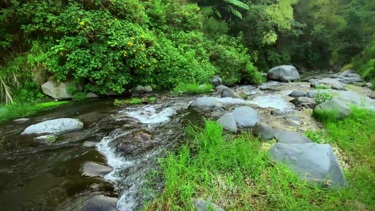 Natural Water Ambience for Meditation and Inner Balance