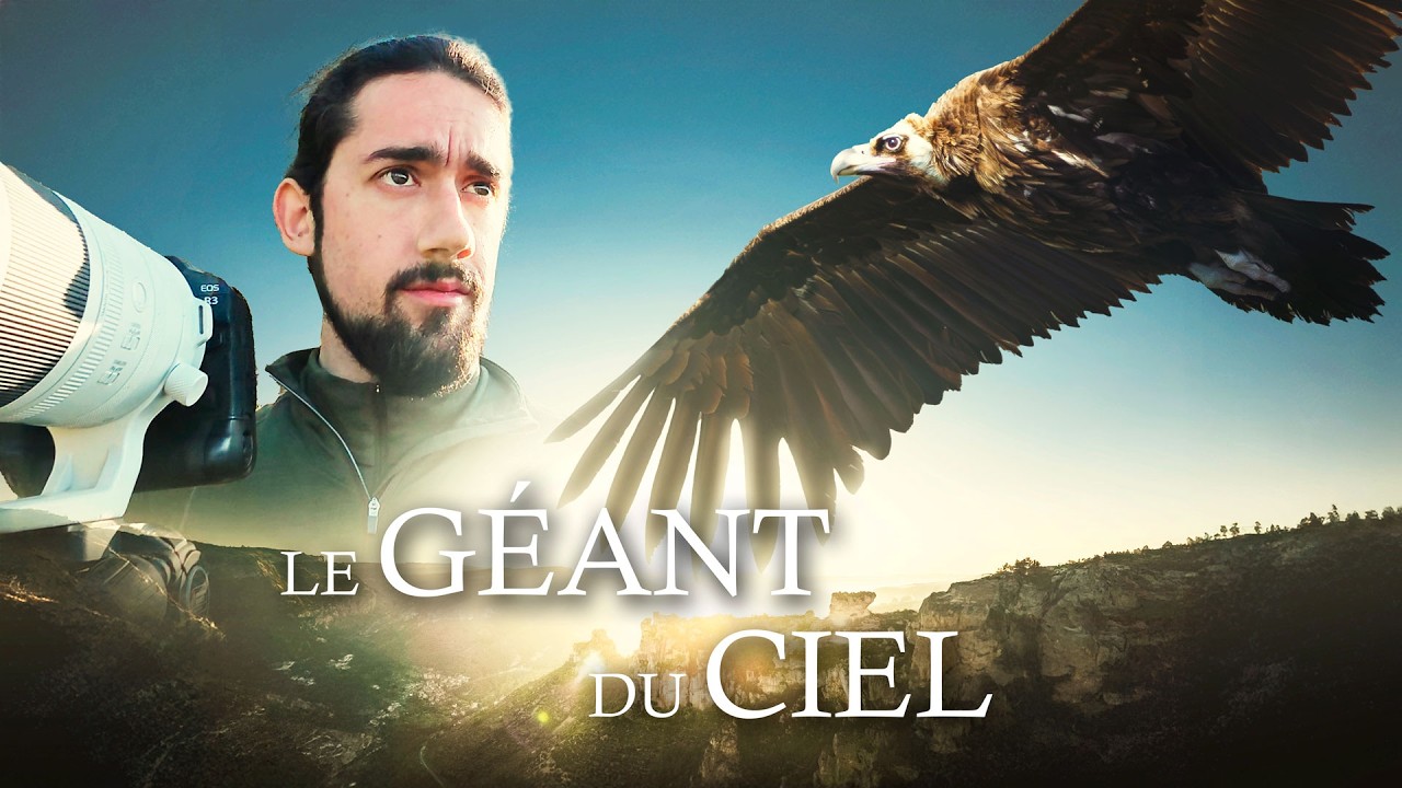 À la recherche d'un rapace GÉANT et méconnu