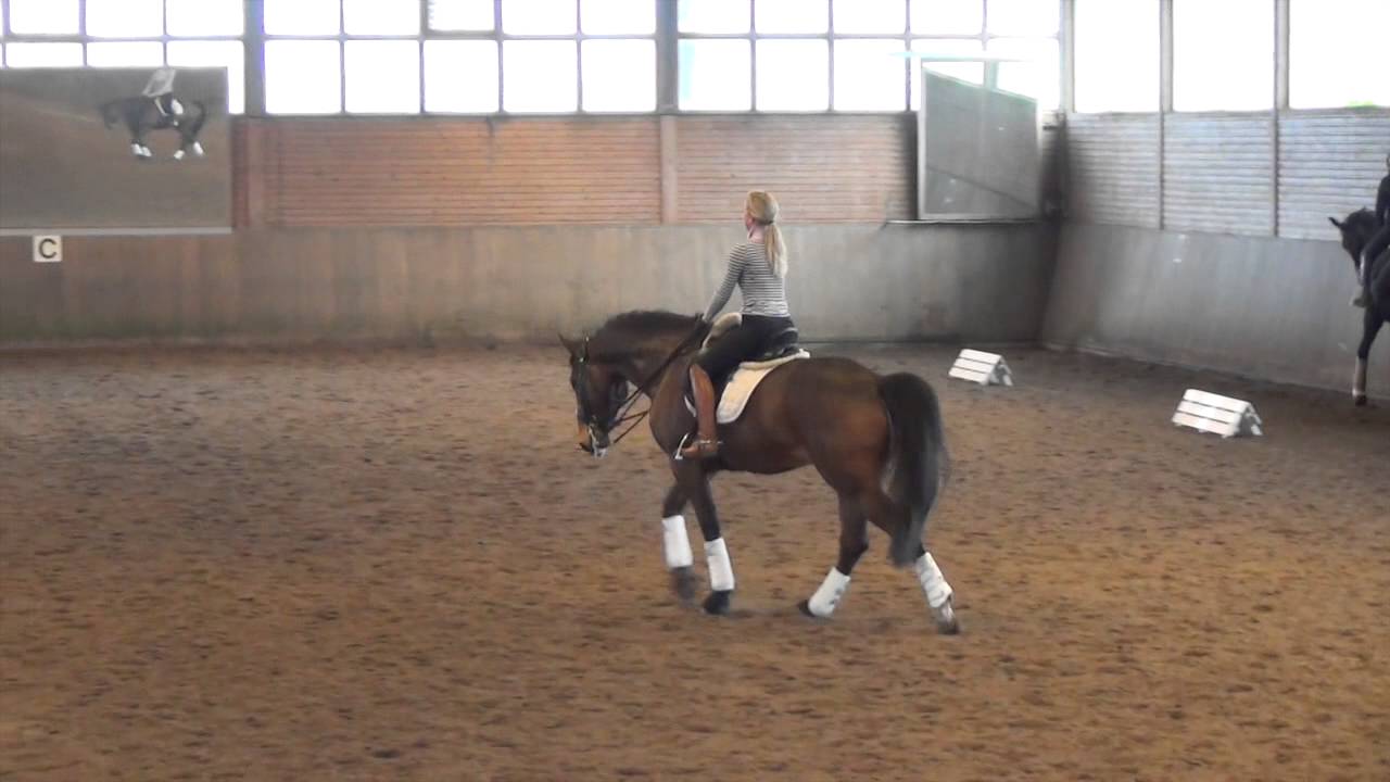 Natalie & Rapid Iron M10