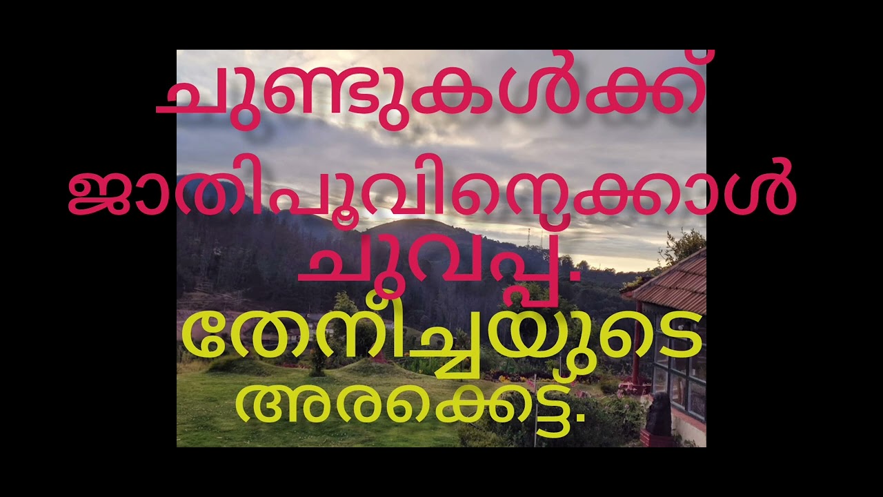 സ്നേഹപ്രിയയുടെ ചുണ്ടുകൾക്ക് ജാതിപൂവിന്റെ ചുവപ്പ്, തേനീച്ചയുടെ അരക്കെട്ട്....
