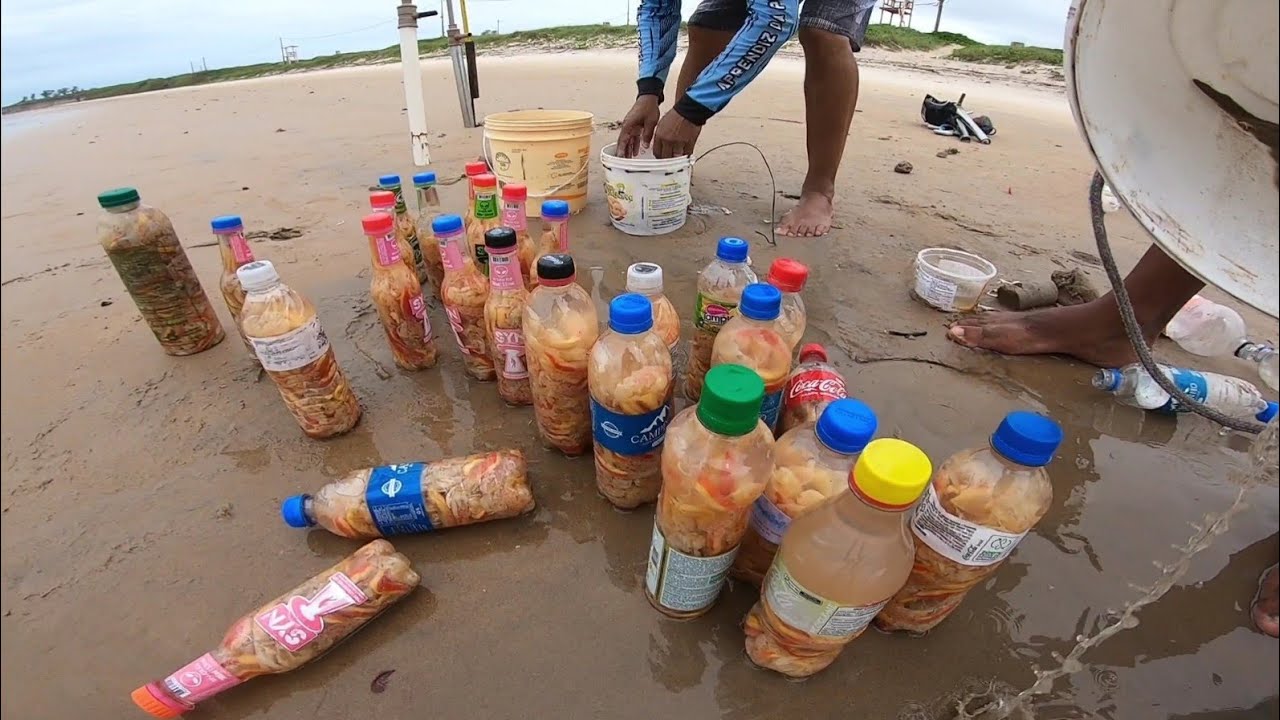 Como pegar CORRUPTO, a melhor ISCA NATURAL do MUNDO para PESCA de PRAIA e COSTÃO!!!