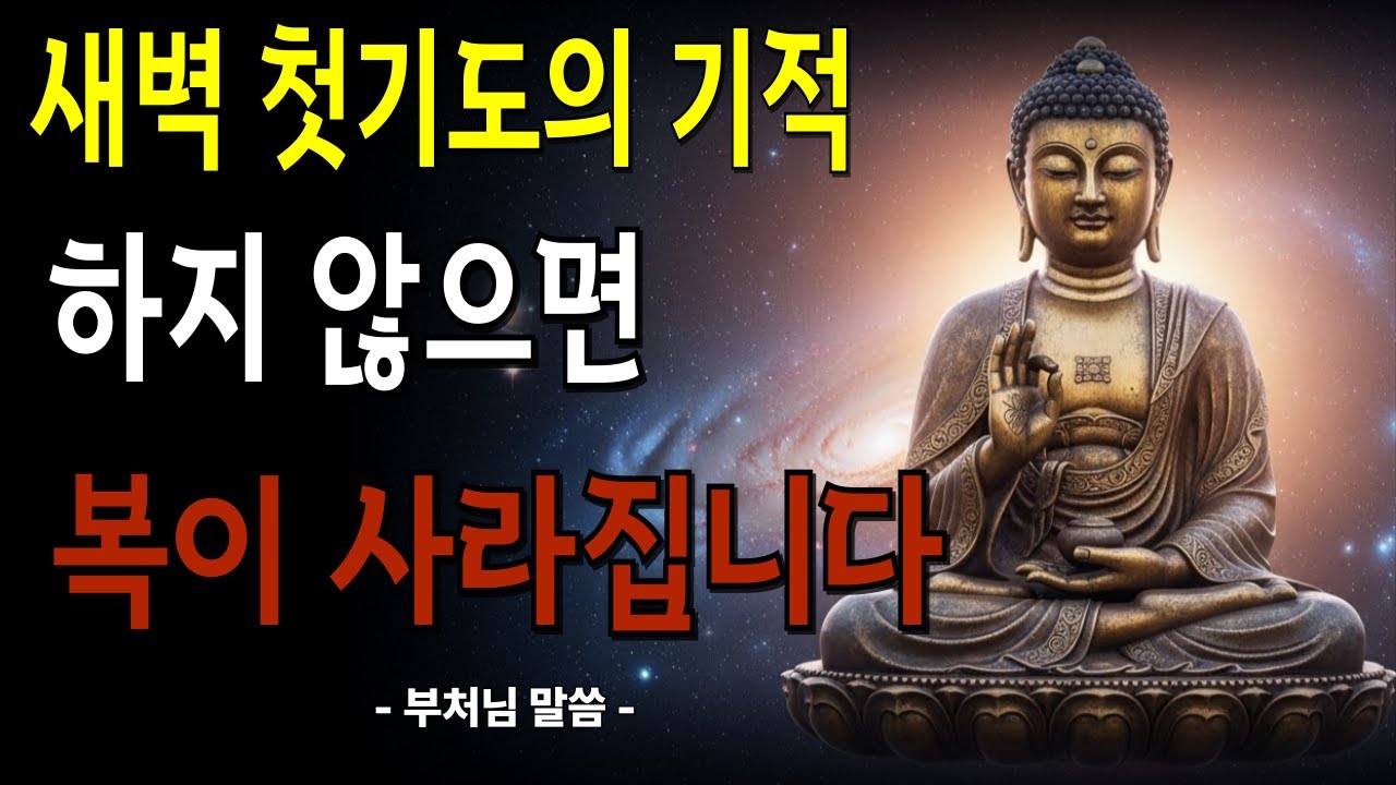 새벽에 이것 안하면 복이 새어나갑니다. 천년 사찰 주지스님들만 아는 새벽 첫기도