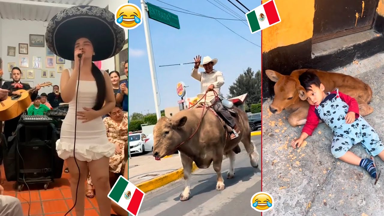 🚨 HUMOR VIRAL MEXICANO 😂 (SI TE RIES PIERDES) | EL NEZY