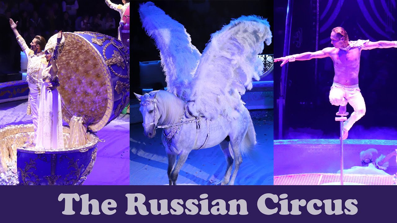 New! The Russian Circus in Moscow  l Garima Tewari