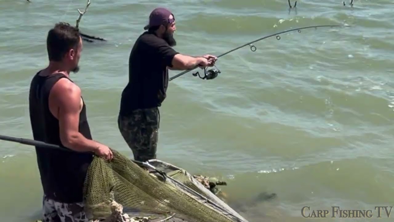 DEĞİRMEN KÖY 2025 SAZAN AVI SEZON AÇILIŞI +10 KG BÜYÜK BİZONLAR. CARP FİSHİNG TV