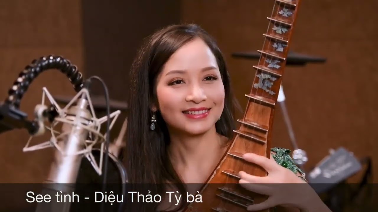 See tình | Diệu Thảo Tỳ bà