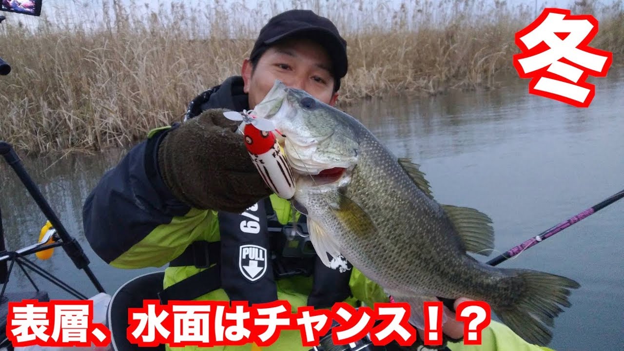 【バス釣り】冬やけどトップウォーターゲーム命！！　Topwater Bass Fishing in Japan