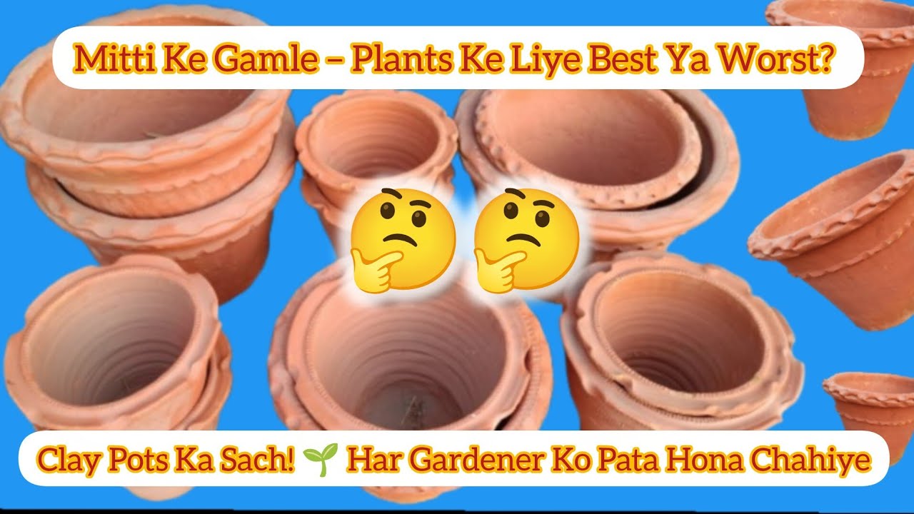 Mitti Ke Gamle Ka Pura Truth 😲 फायदे + नुकसान💯#gardeningtips#terracegarden#homegardening