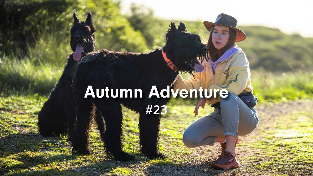 Hiking with Giant Schnauzers in Portugal Mountains | Ep. 23