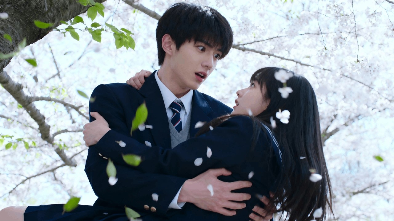 सिंड्रेला पेड़ के नीचे पढ़ रही थी, तभी बिल्ली गोद में लिए एक CEO उस पर गिर पड़ा—यहीं से प्यार शुरू ह