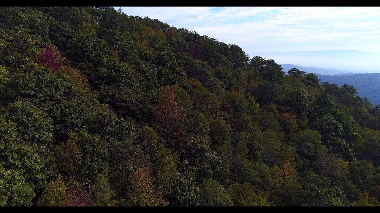 Allegheny Mountains in the fall