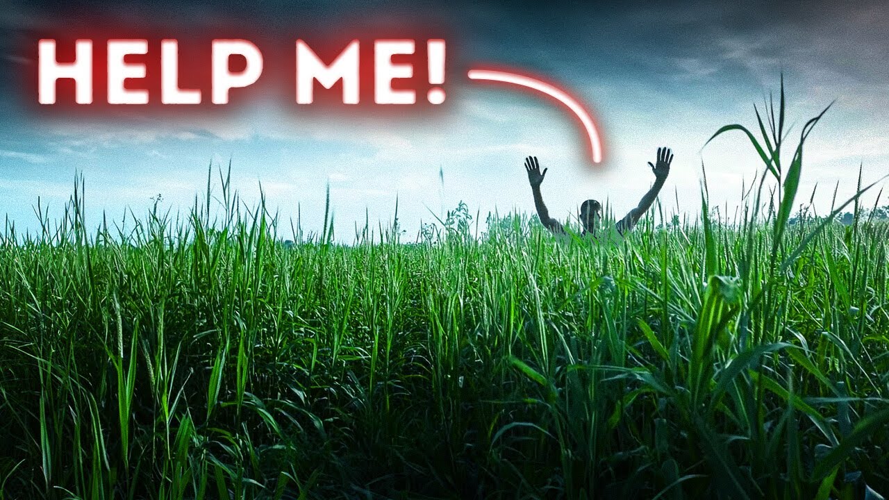 A Man Vanished in Daylight - What Happened in That Field?