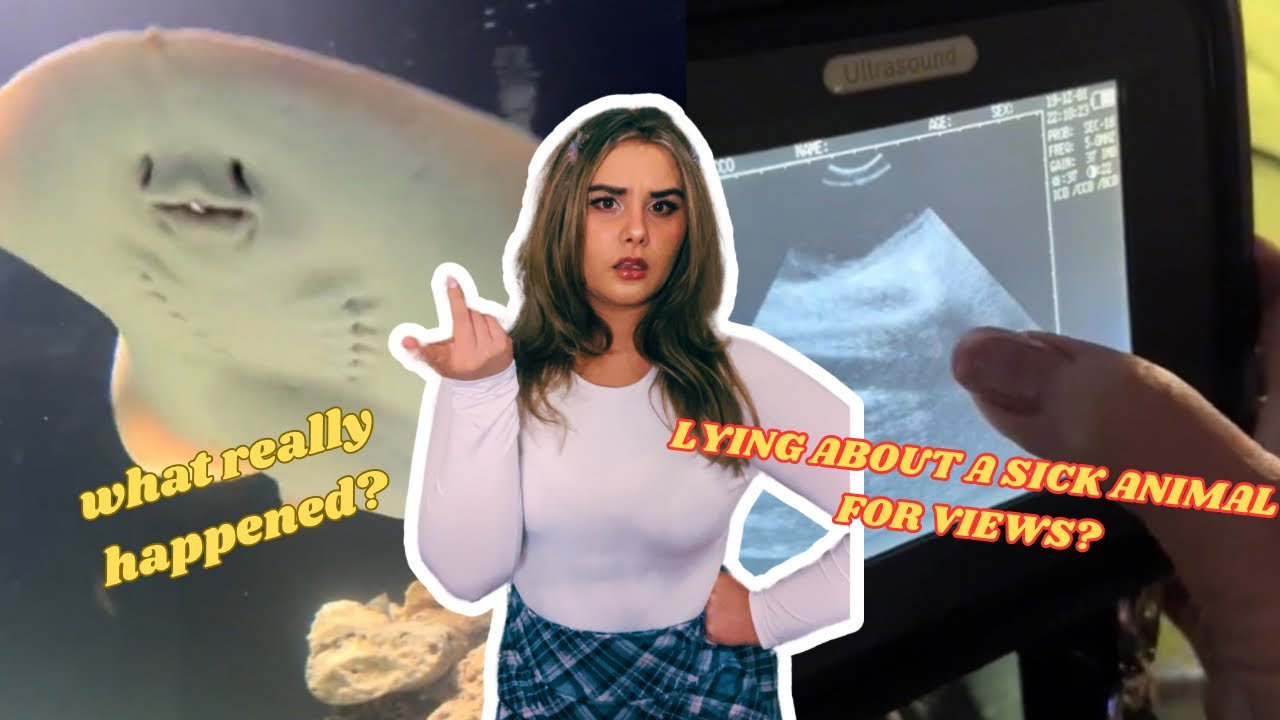 The Tragedy of Tiktok's Favorite Stingray