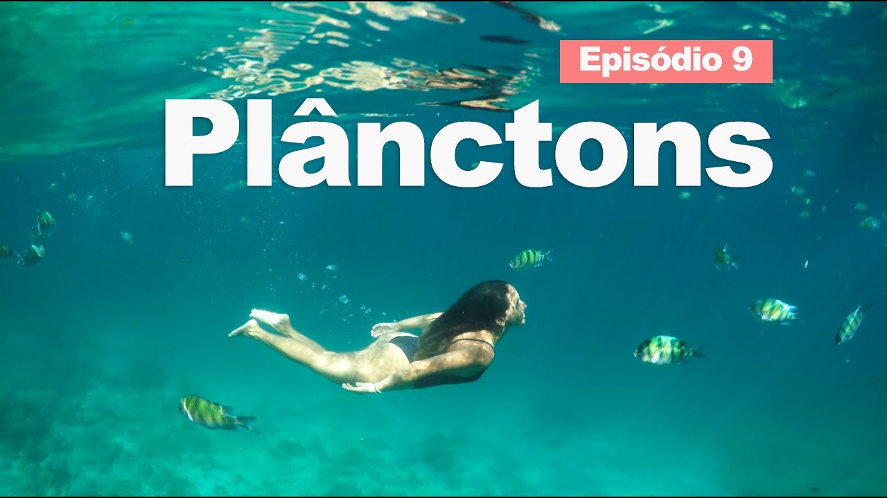 PASSEIO DE BARCO EM KOH PHI PHI #EPISÓDIO9