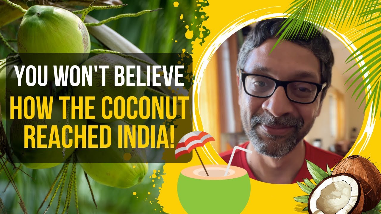 You Wont Believe How the Coconut Reached India!