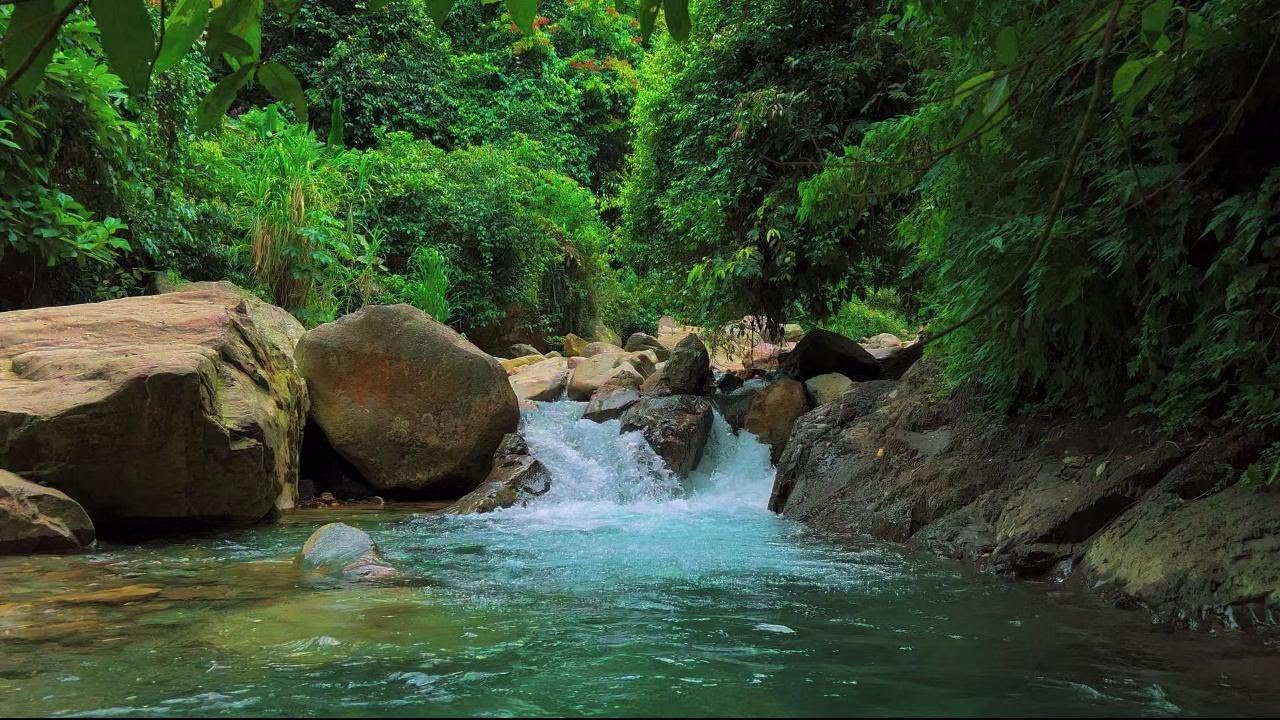 4K-HDR | River Water Ambience for Sleep and Mental Peace | Relaxing Sounds for Yoga, Work and Study