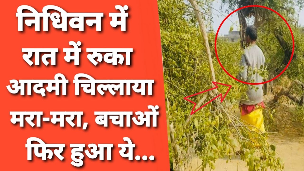 Vrindavan Nidhivan Mystery:22 साल से काम करने वाले सेवक ने खोला निधिवन का राज ,सोते समय आती है आवाज़!