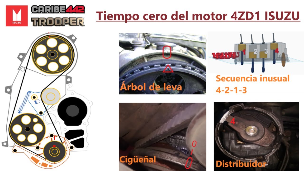 Tiempo del motor 4ZD1 ISUZU, (Cigüeñal, Árbol de leva, Distribuidor) CARIBE 442, TROOPER, LUV 2000