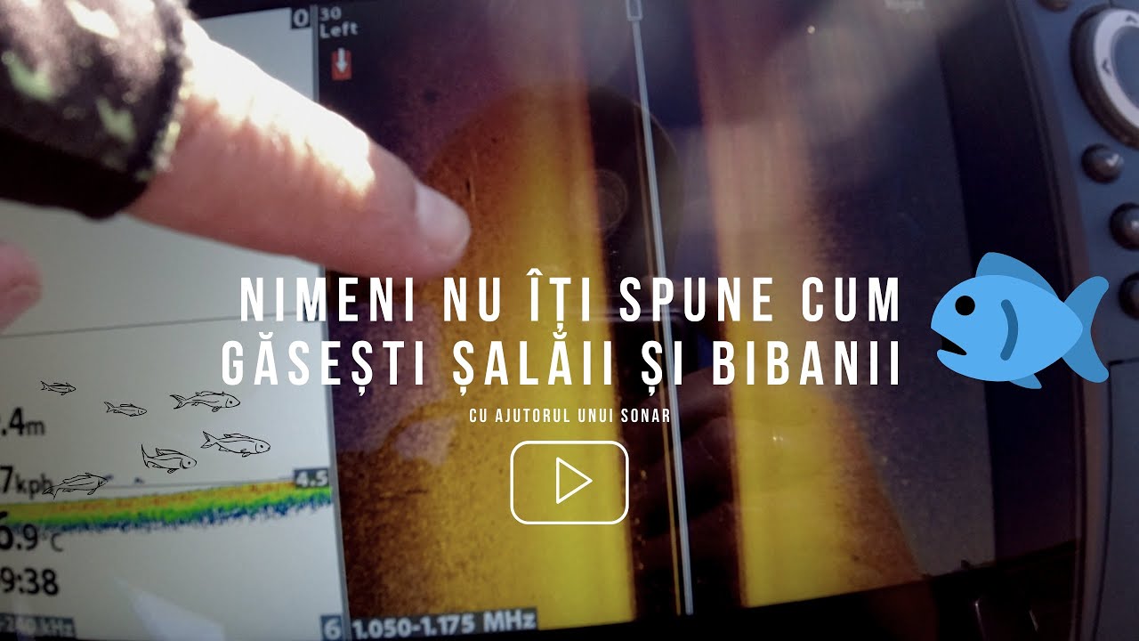 Cum să găsești șalăii și bibanii pe un lac cu ajutorul unui sonar
