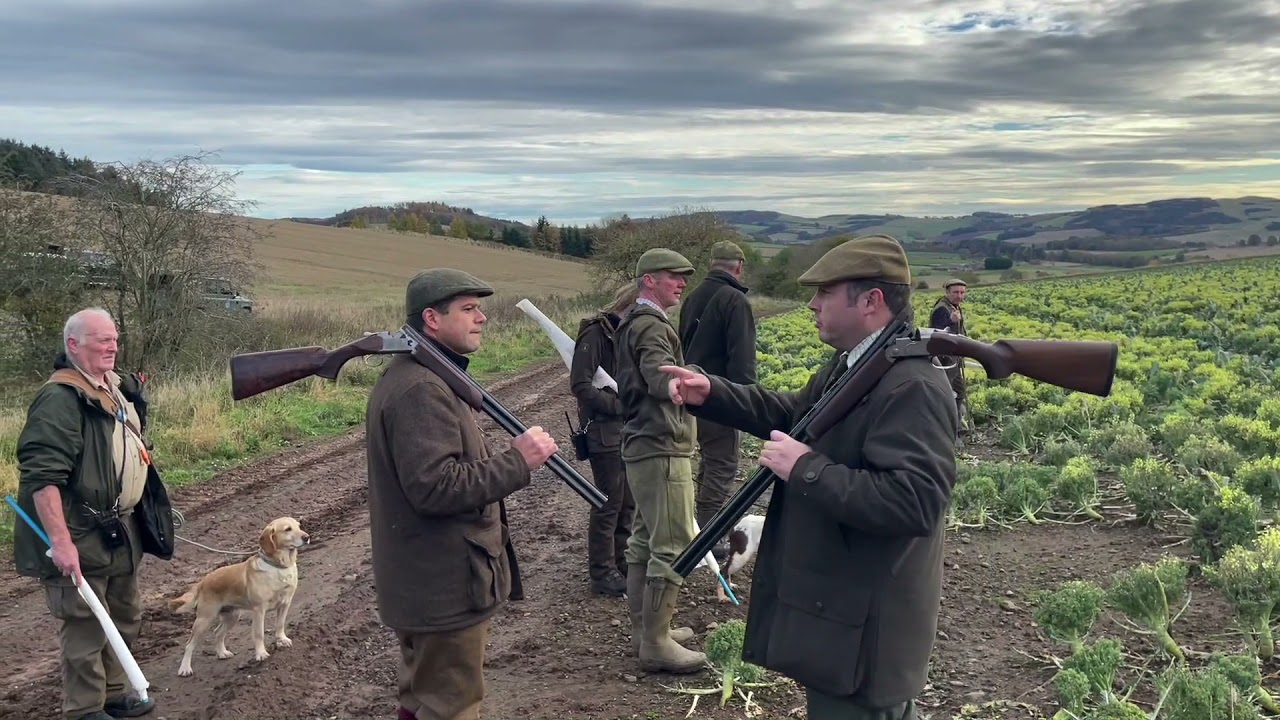 scottish pheasant hunting