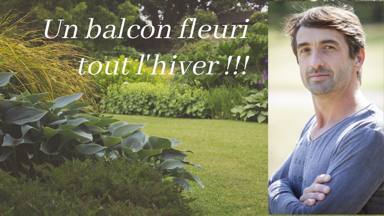 Comment avoir un balcon fleuri 🌻 tout l'hiver !!!