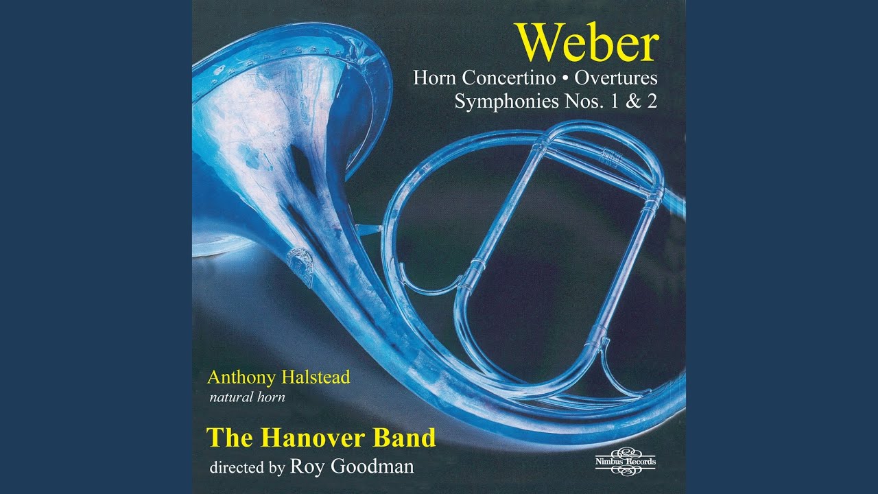 Horn Concertino in E Major