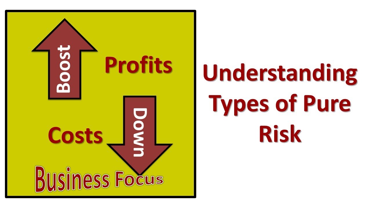 Understanding Types of Pure Risk