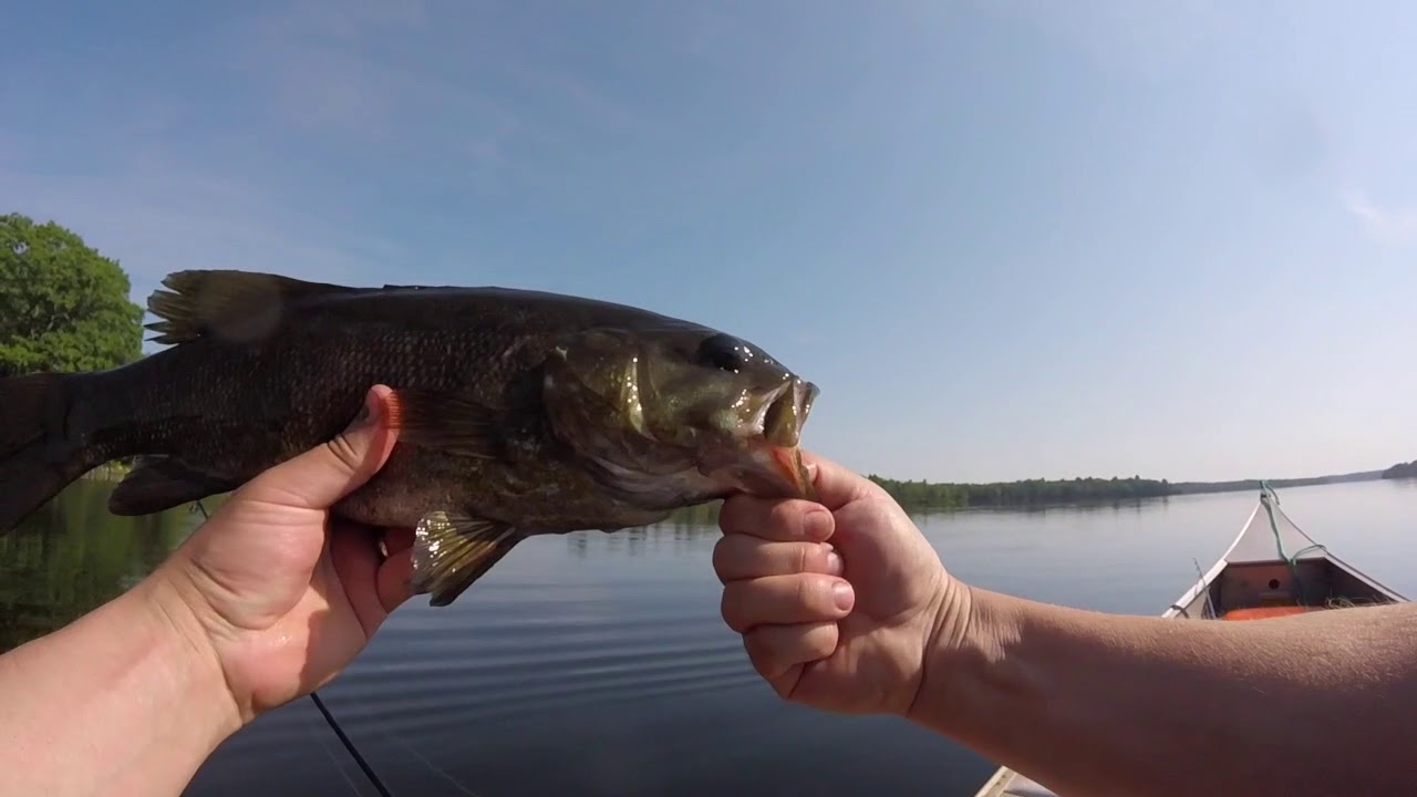 Calm Water & Clear Skies Bass Fishing in the Canoe