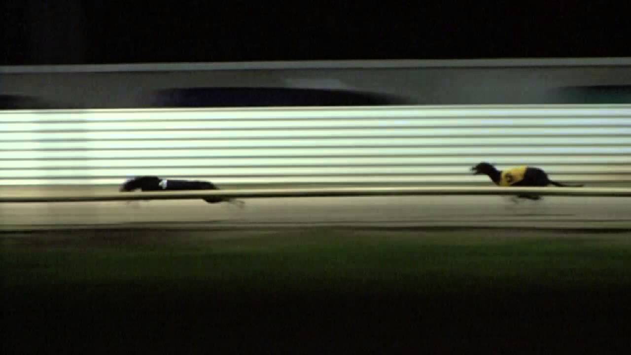 Heat 3