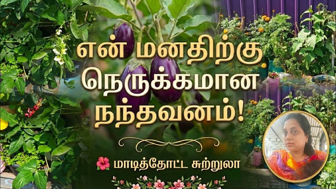 🏡🙏👍30 நிமிடம் அமைதியான தோட்டம் காண்போம்! 🌱  My Garden Tour Tamil  செடிகள் வளர்ப்பு டிப்ஸ். ❤️🏡🏡