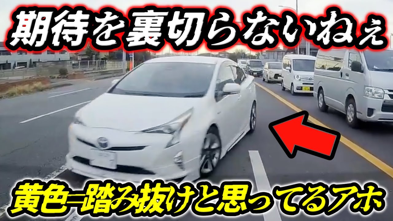 【期待を裏切らない！】あのプリウスが真後ろで披露した新しい右折方法！/ノールックで飛び出してくるオバちゃん/こっちが信号無視したかと錯覚するほどの違反っぷり！ドラレコが捉えた“日常に紛れた異常運転”
