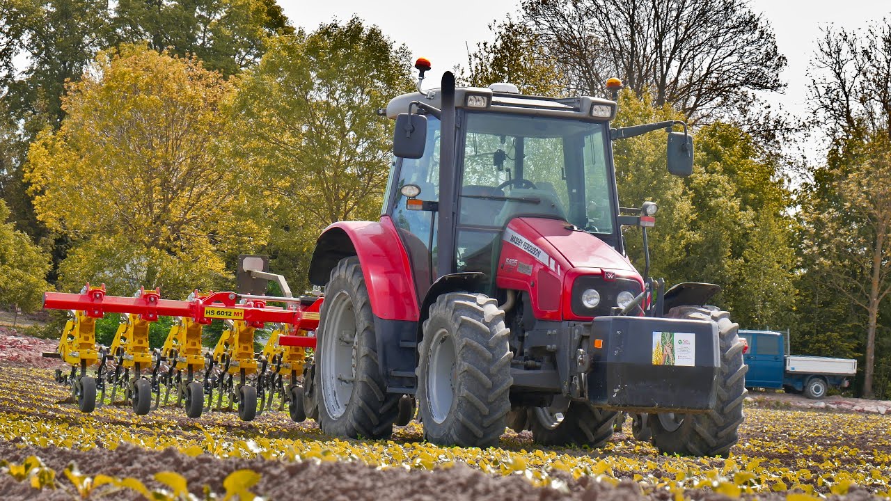 ☆NOWY NABYTEK!☆PIELENIE BURAKÓW 2024!☆AGRO USŁUGI KAZIMIERZ KURZYŃSKI!☆APV HS 6012 M1☆MF☆AGROKUBA☆
