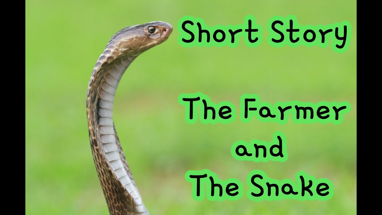 Short Moral Stories | The farmer and the snake story | 10 lines short stories | story telling