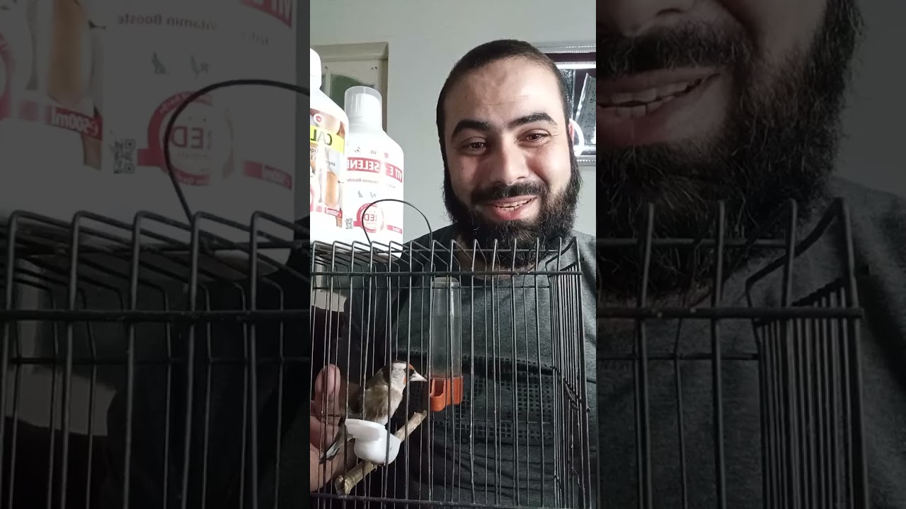 مسابقة معاد تيجاني لمحبين العصافير 