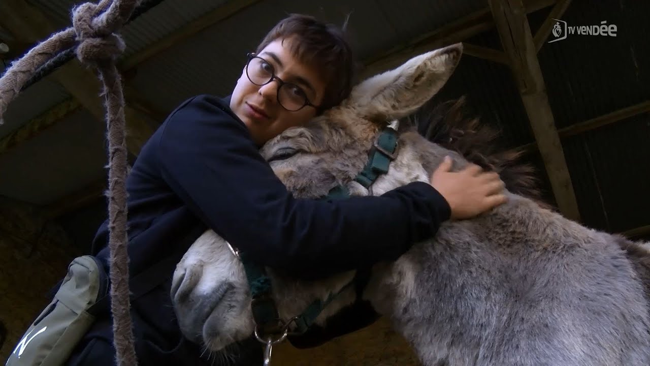 La médiation animale pour apaiser les troubles du comportement