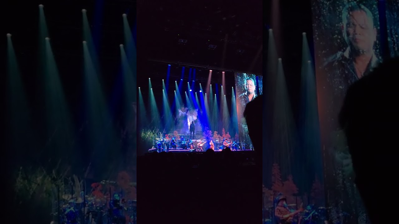 The Last Of Us- PlayStation The Concert