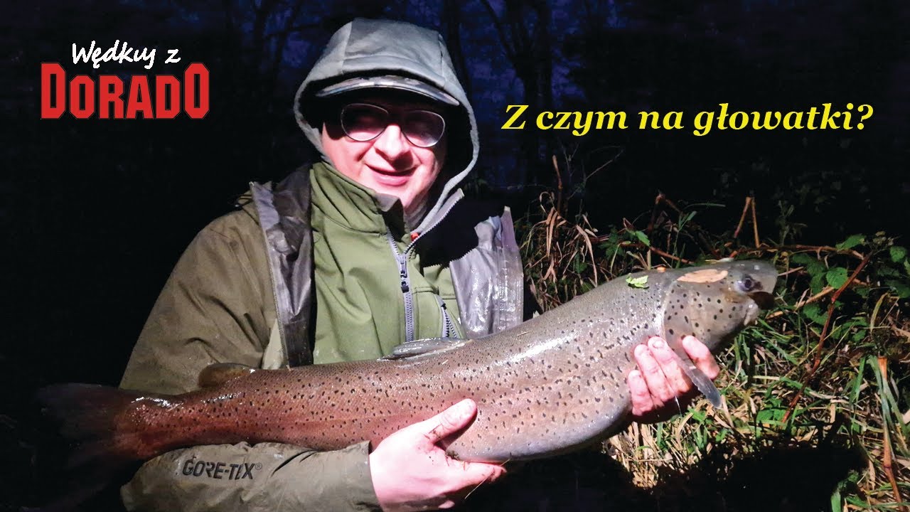 Z czym na głowatki, czyli słów kilka o sprzęcie i przynętach na królową.