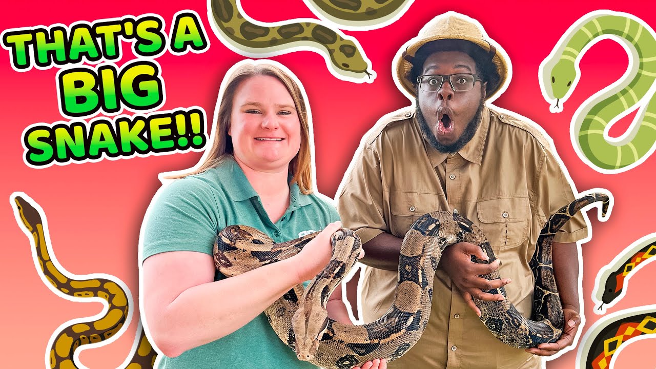 That's a BIG SNAKE! | Jonah | Kids' Club Older