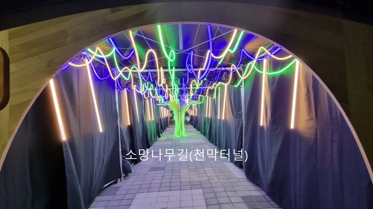 download 15 숲나루공원 광진구빛축제(야경)