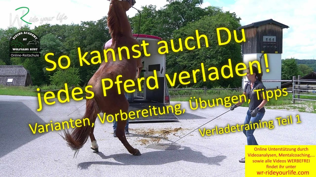 F164 Verladetraining 1: Unwillige oder junge Pferde richtig verladen lernen. Varianten und &Uuml;bungen