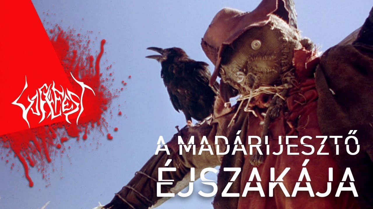 Hol van a könyvem?! - A madárijesztő éjszakája 💀