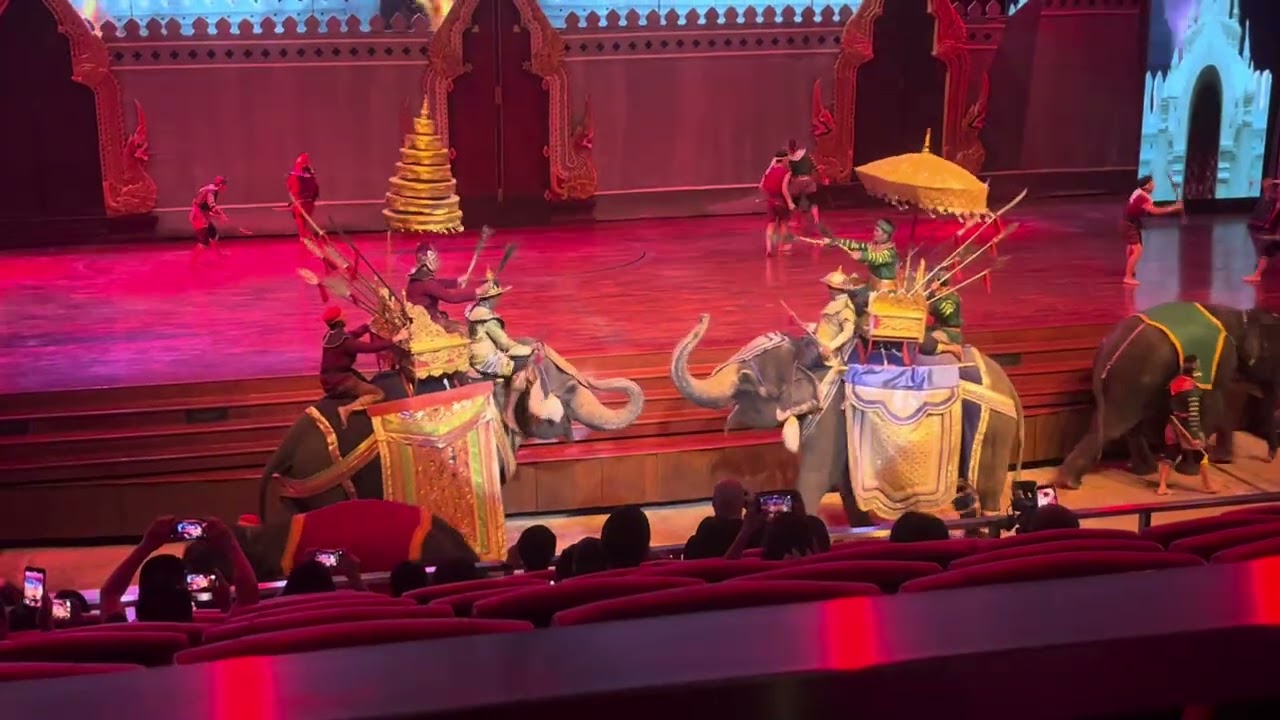 泰國大象表演￼