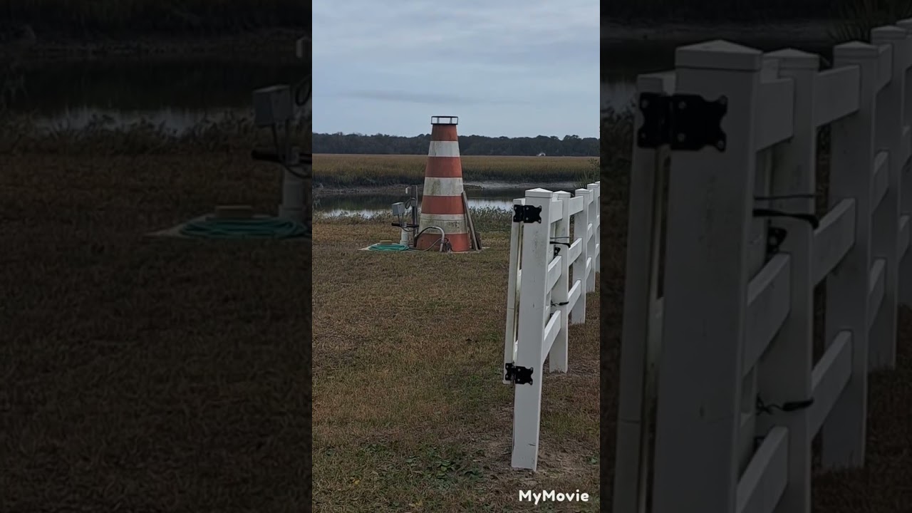 Shellman Bluff Georgia