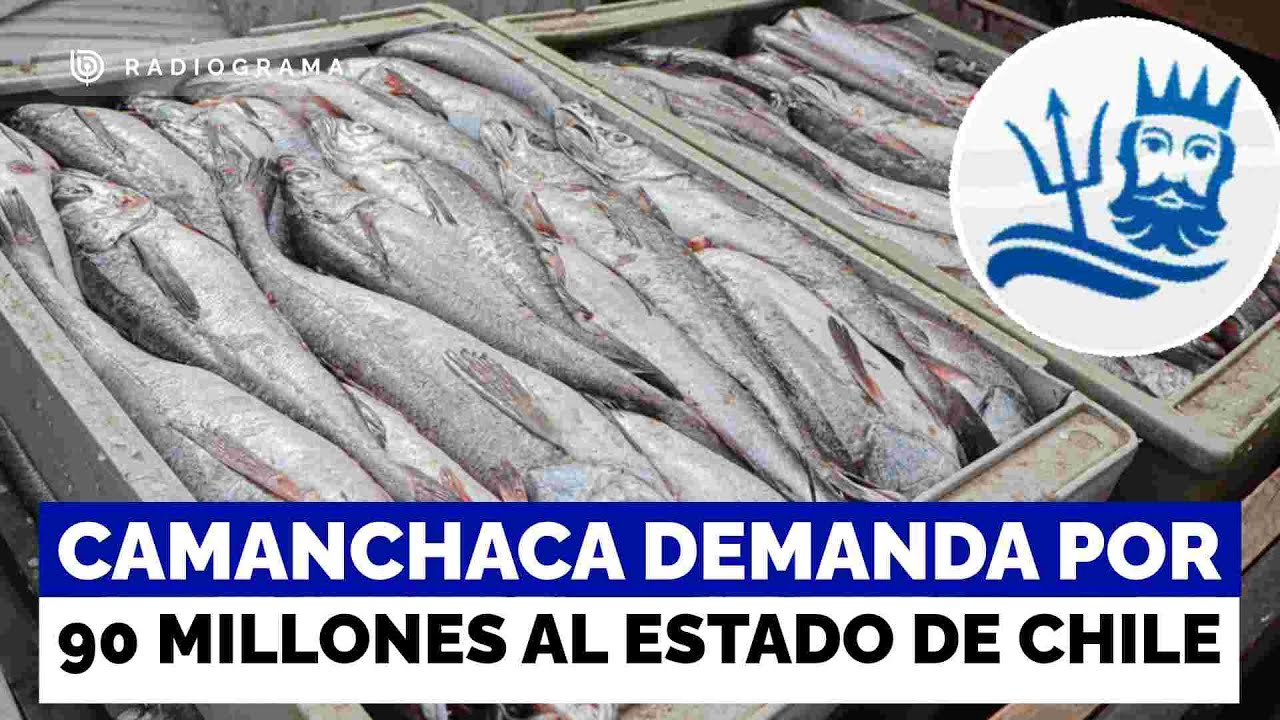 Camanchaca demanda en $90 mil millones al Estado y acusa daños por cambios en fraccionamiento