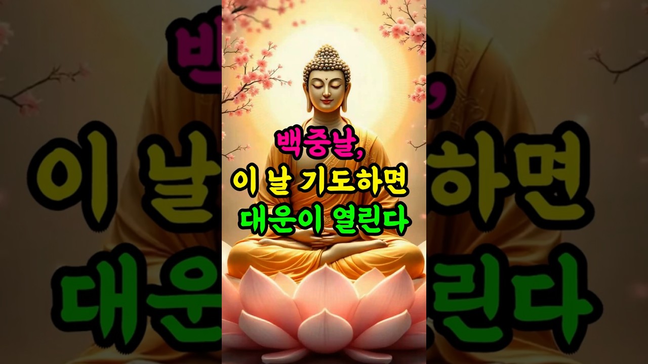 백중날, 이 날 기도하면 대운이 열린다#백중날 #업장소멸 #조상공덕 #부처님말씀 #천도기도 #회향공덕 #나무아미타불 #관세음보살 #대운이열린다 #마음공양