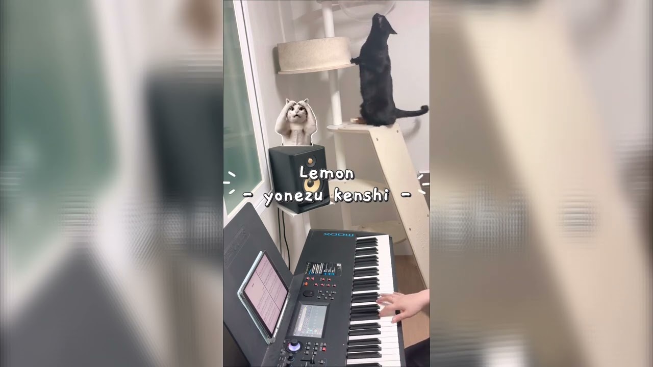 Lemon - Yonezu kenshi 피아노 악보