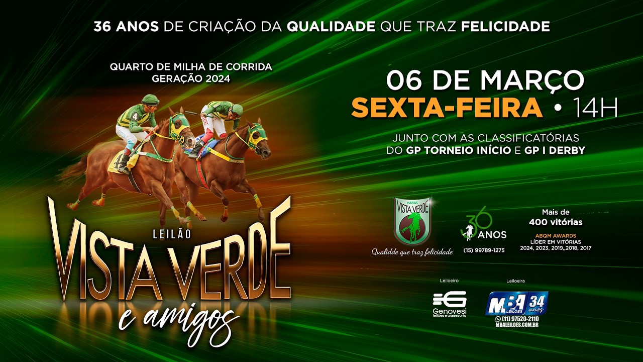 Leilão Haras Vista Verde e Amigos - Geração 2024