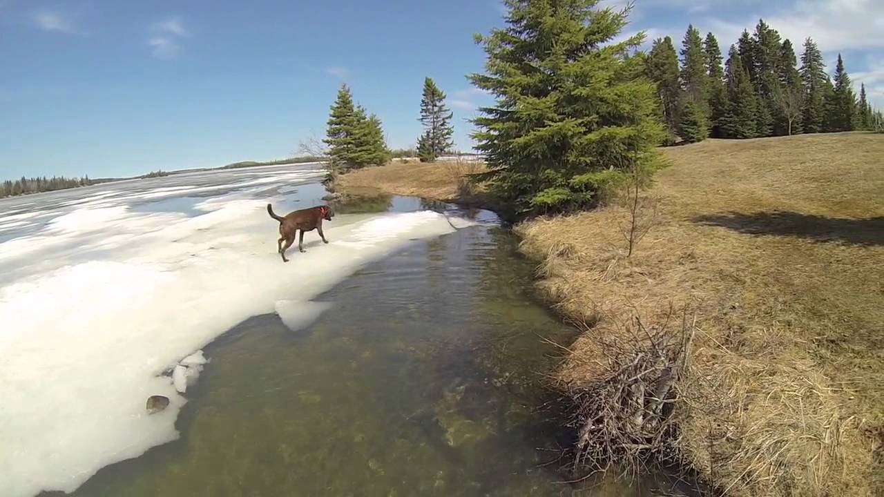 Roloff in the spring