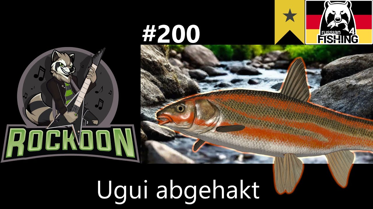 Testen bis die Trophy kommt | Fluss Jama / Yama river | Russian Fishing 4 | #koontainment