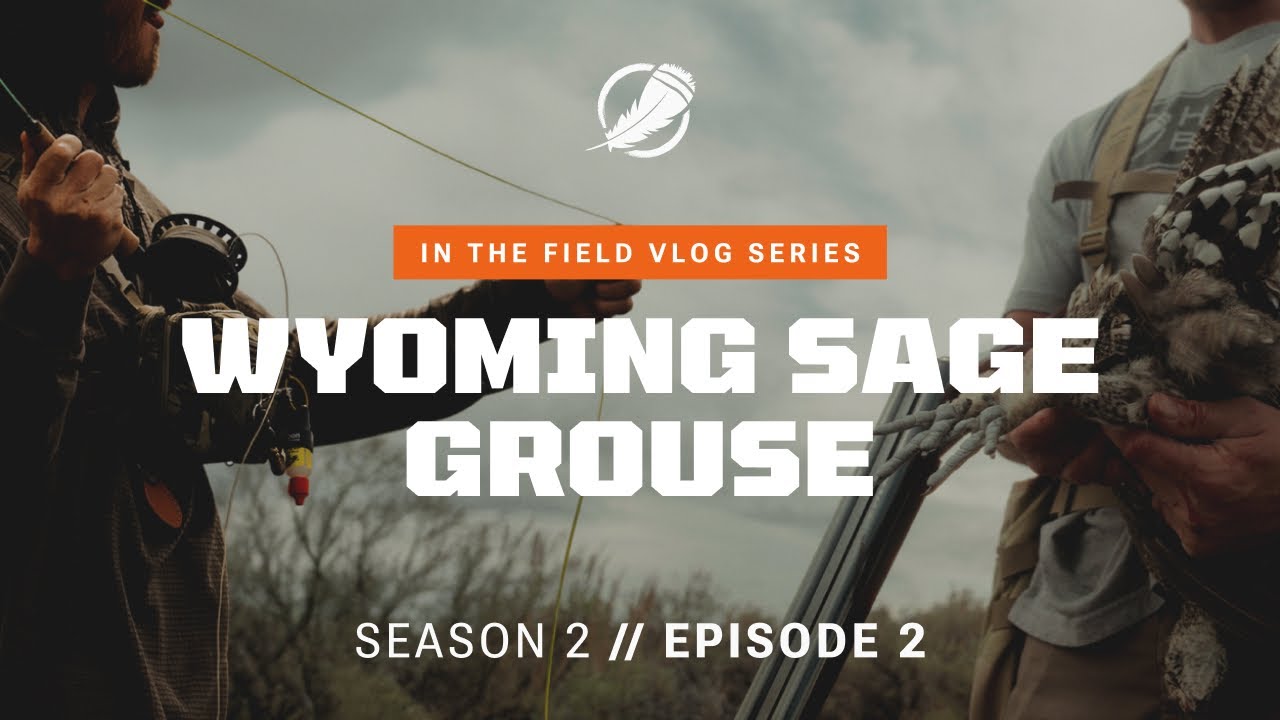 Охота на шалфейного тетерева и рыбалка нахлыстом — финальный подъём «В поле» S2. E2.